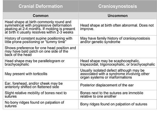 Cranial Deformation vs. Craniosynostosis