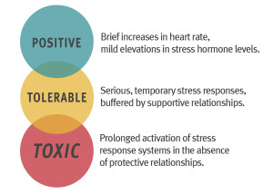 Diagram showing progression of positive, tolerable, and toxic stress